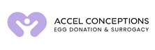 Accel Conceptions Accel Conceptions