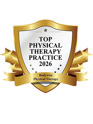 Top Physical Therapy Practice 2026